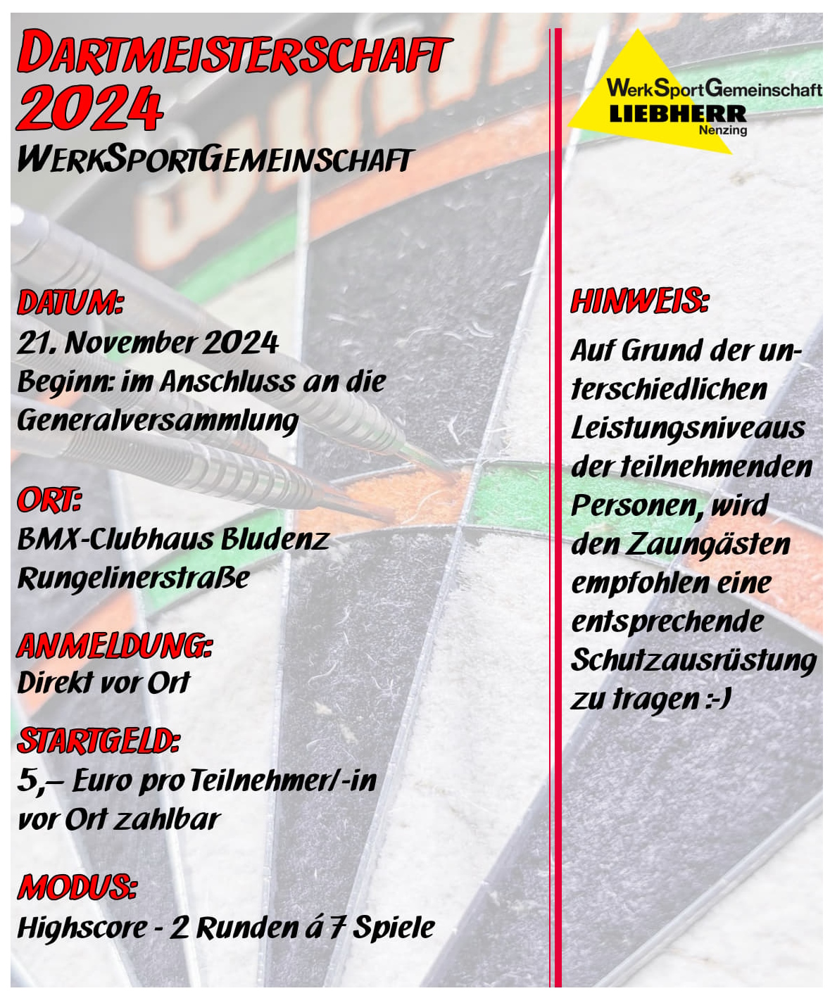 20241121 Dartmeisterschaft 2024 1